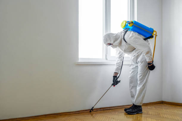 Best Bed Bug Extermination  in Fairport, NY